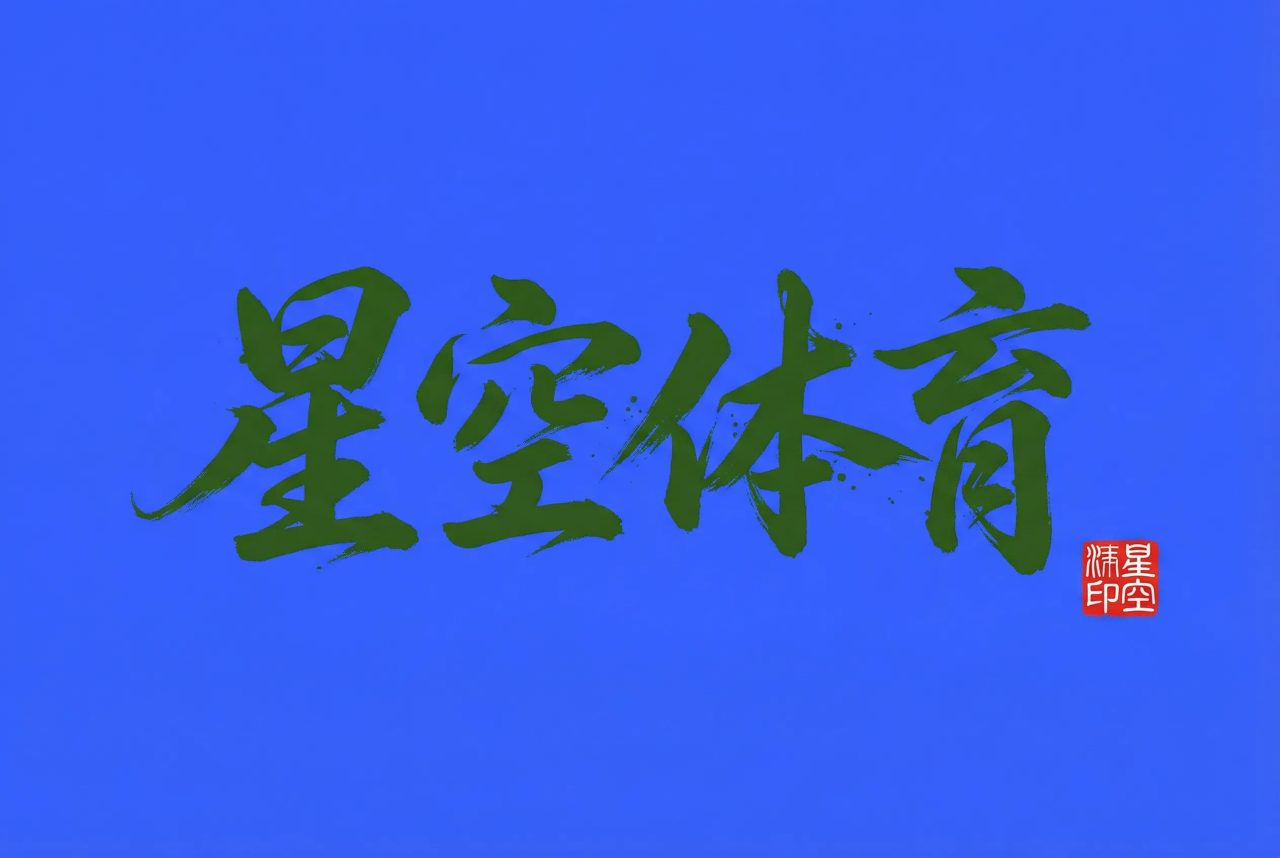 体育星空官方标志
